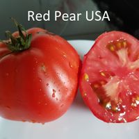 Red Pear